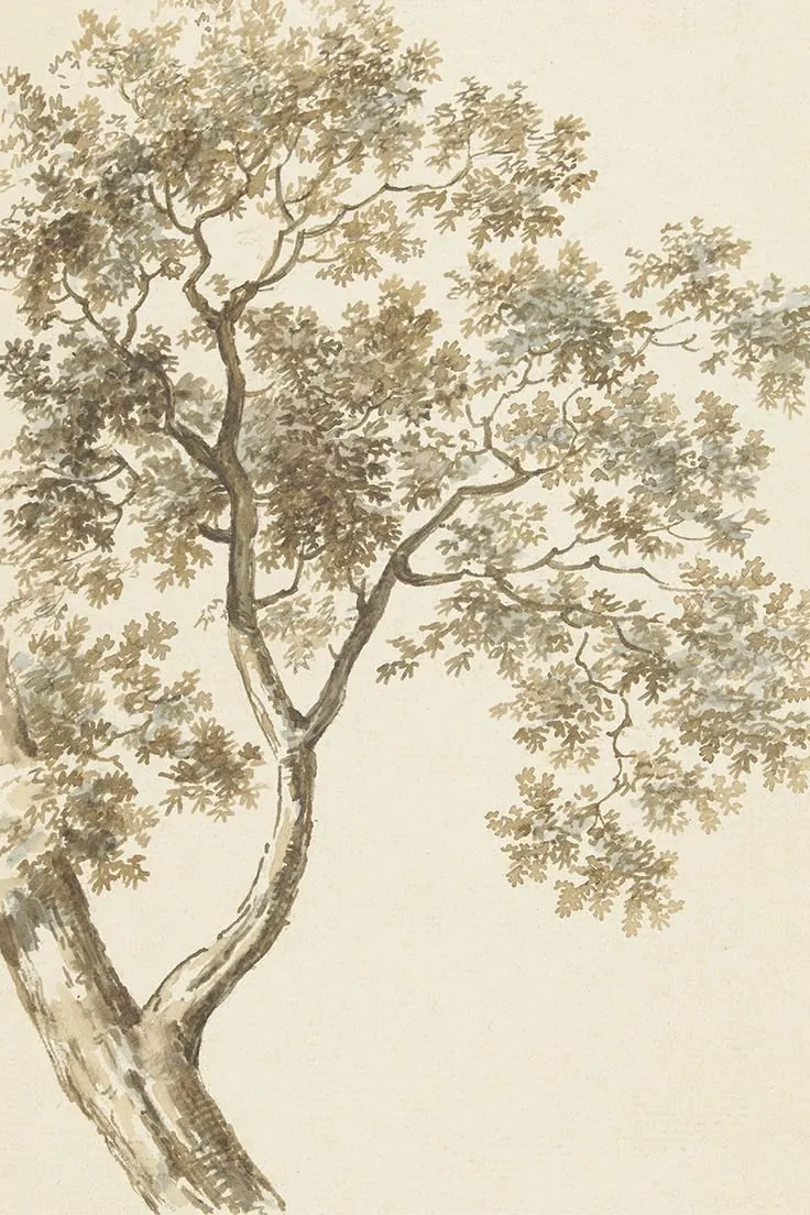 A watercolour sketch of a tree in warm sepia tones